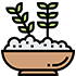 carbo.png