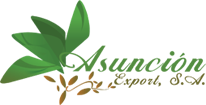 Asunción Export