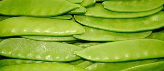 mangetout-guatemala-1-min.jpg