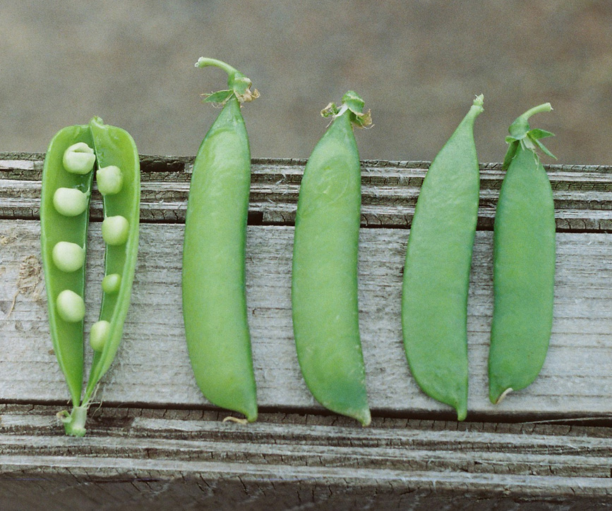 product-detail.jpg